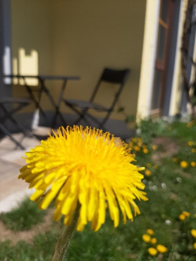 גוסוויינשטיין Hotel Landgasthof Frankenstern מראה חיצוני תמונה