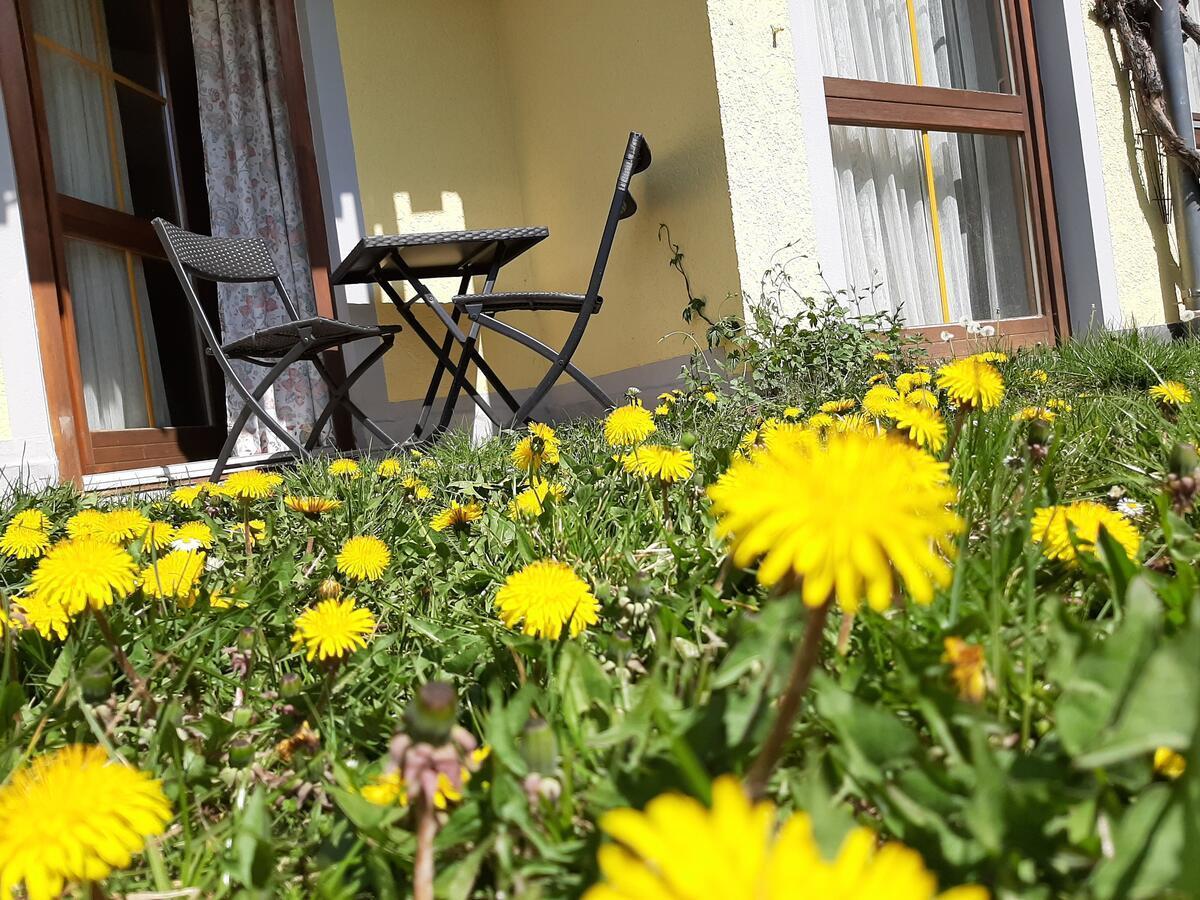 גוסוויינשטיין Hotel Landgasthof Frankenstern מראה חיצוני תמונה